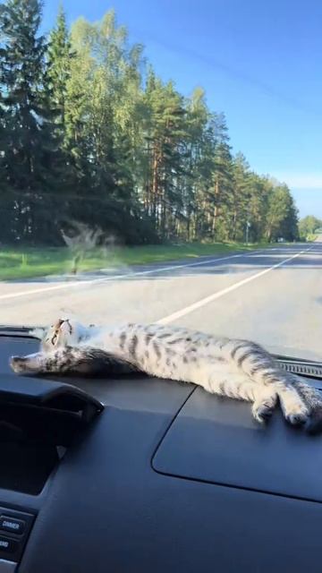 самое лучшее место для отдыха самое лучшее место для отдыха