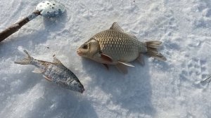 Зимняя рыбалка на озере Чаны