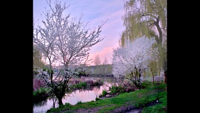 Христианские авторские стихи и песни СВЕТЛАНЫ БУРЕЕВОЙ