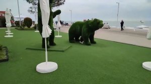 Красота пляжа Маяк г. Сочи 28.05.23.