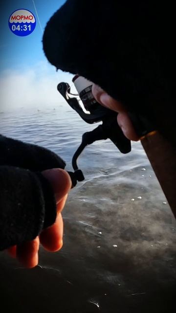 Зубастый  трофей на обезьянку. #мормышинг #рыбалка #микроджиг