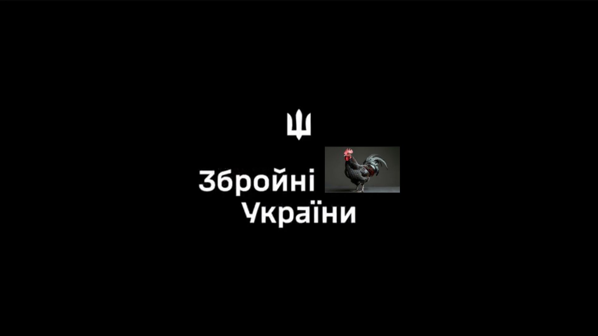 🔴С кем воюют петушиные войска, я так и не поняла😂🔴 смотреть онлайн