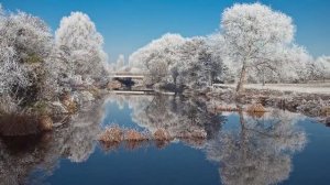 ИНЕЙ - ЗИМНЯЯ СКАЗКА