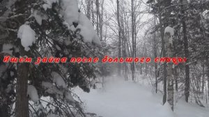 Охота на зайца в крещение 19.01.2026г.