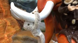 Настя в парке развлечений - сборник лучших моментов