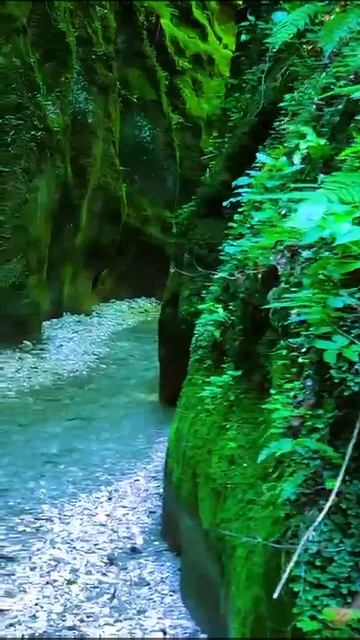 Видео из архива (Иса)