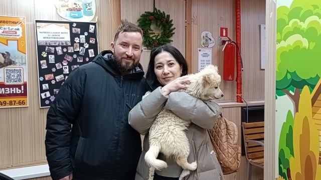Ещё одно чудо случилось! У щенка теперь есть дом! | Кайла