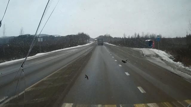 Рейс Очёр — Нефтекамск. Идем в паре. СКАНИЯ 124