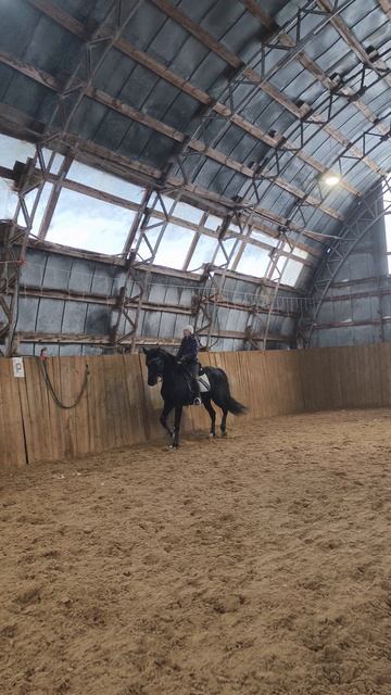 Оксана Новикова и Дольче Вита, учимся делать пассаж, онлайн-тренировка.