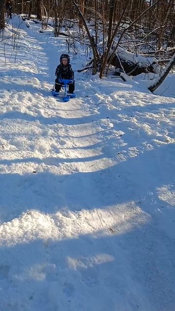 Катания в лесу 