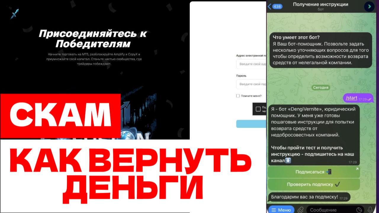 Exfusion (exfusion.ibportal.io) обзор, отзывы. Скам?