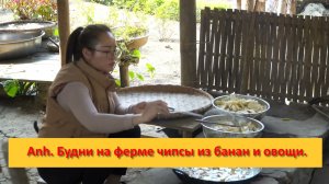 Anh Bushcraft. Будни на ферме чипсы из банан и овощи.