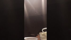 здоровья всем по воле АЛЛАГЬА ❤️