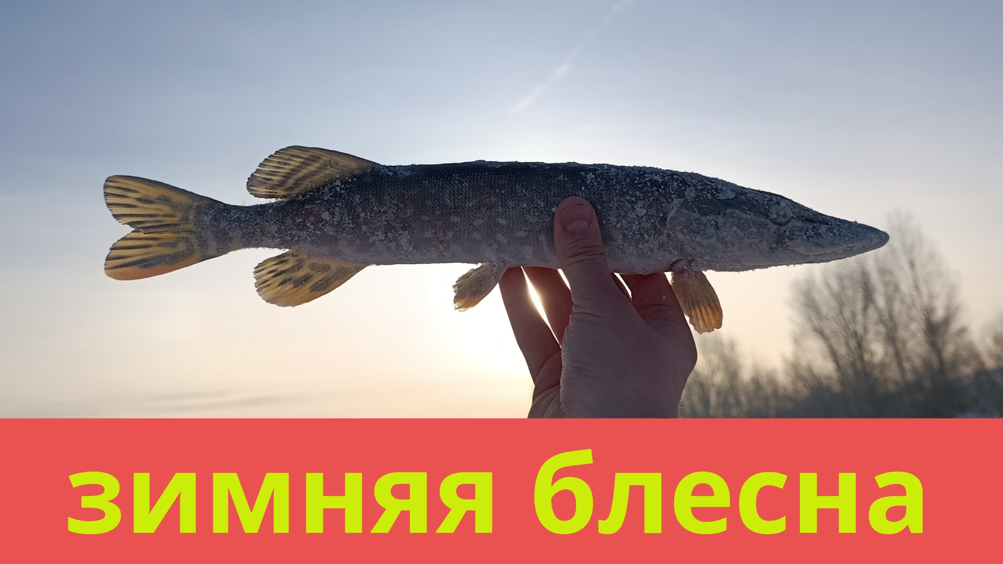 разведал новое место на реке Бия разведал новое место на реке Бия