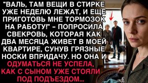 СВЕКРОВЬ КИНУЛА МНЕ ГРЯЗНЫЕ НОСКИ: «ПЕРЕСТИРАЙ!» — НО ЧЕРЕЗ МИНУТУ ОНИ С СЫНОМ СТОЯЛИ ПОД ПОДЪЕЗДОМ.