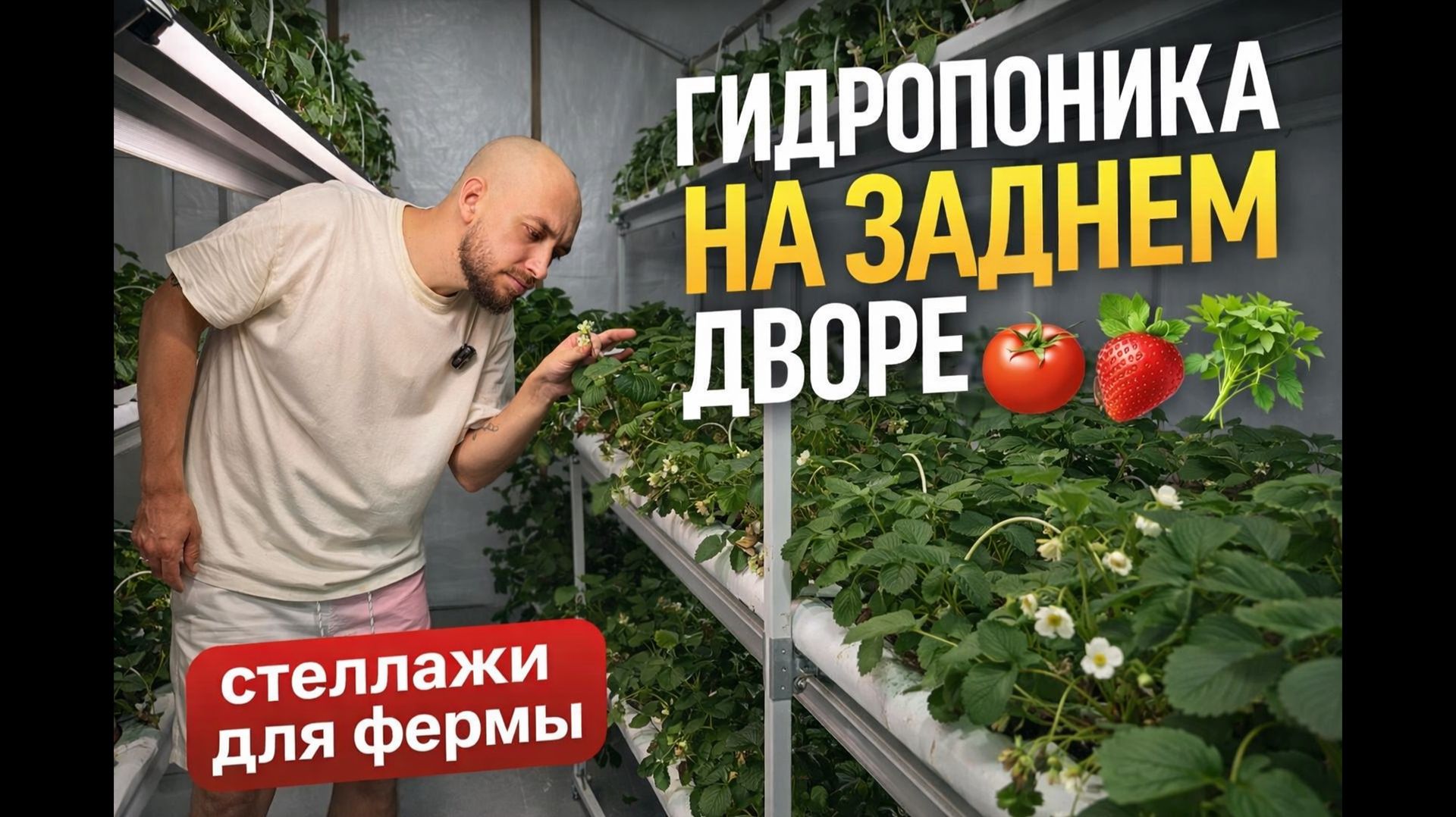 Гидропоника на заднем дворе — серия 3. Собираем стеллаж для сити-фермы