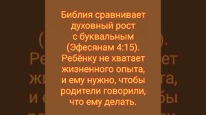 VID_20260206_061225_060.mp4