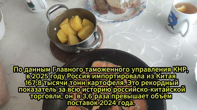 Рыбный день