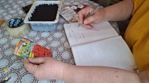 Повторный посев петунии