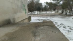 5 часть Слежка