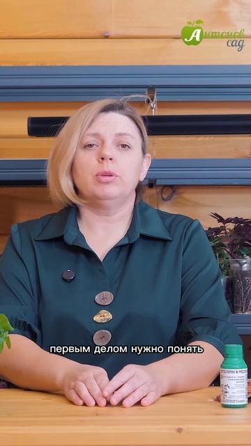 Когда сажать перцы на рассаду?