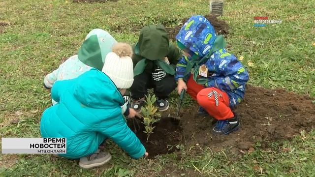 Юные активисты экопроекта «Проросток» готовят к посадке 1200 саженцев и сеянцев деревьев