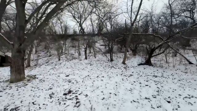 пос. Свободы. Земельный участок 40 сот.