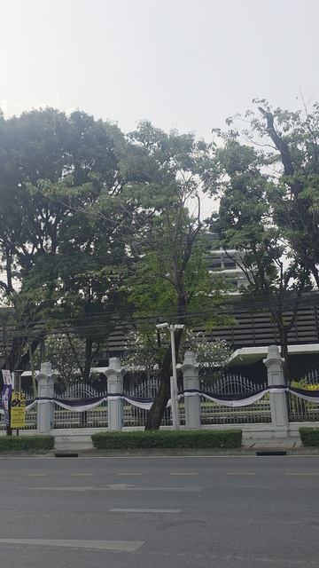 Бангкок 5 день 5