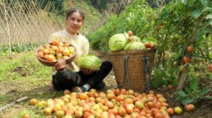 Сельская девушка Дуонг собирает капусту и помидоры, приносит их на рынок для продажи. Вьетнам