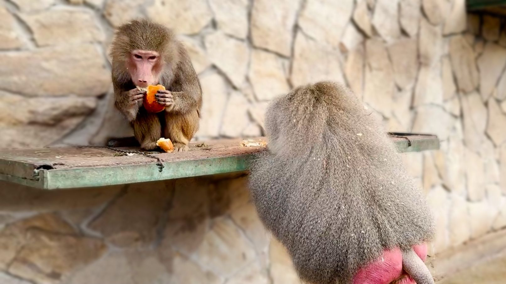 Вот это МНОГОХОДОВКА! Лида ИНТРИГАНКА! Елисею достались одни крохи! ЛЮДИ! НЕ БРОСАЙТЕ С БАЛКОНА ЕДУ! Вот это МНОГОХОДОВКА! Лида ИНТРИГАНКА! Елисею достались одни крохи! ЛЮДИ! НЕ БРОСАЙТЕ С БАЛКОНА ЕДУ!