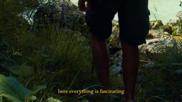 A place to escape CINEMATIC video Shot on canon EOS 250D смотреть онлайн