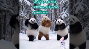 VID_20260206_211830_546.mp4