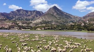 Поездка в горы Дагестана. Лето 2022 г.