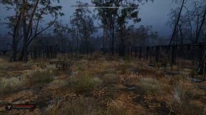 КПК_С_Кодом_для_Сейфа_В_лагере_Сказочный_STALKER_2