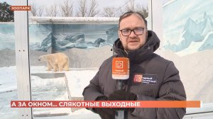 А за окном. 6 февраля 2026