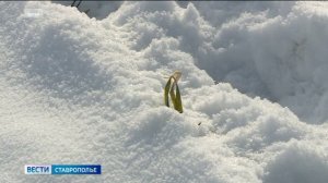 Глава Ставрополья доложил о ситуации в АПК Дмитрию Патрушеву