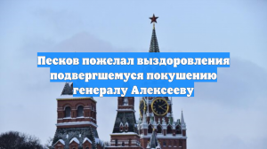 Песков пожелал выздоровления подвергшемуся покушению генералу Алексееву