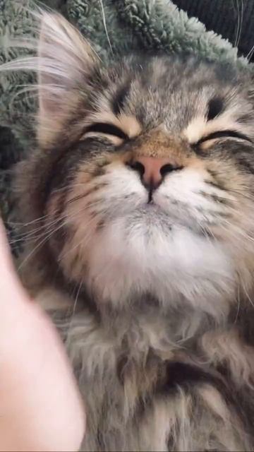 Автор видео: ymnc_rf