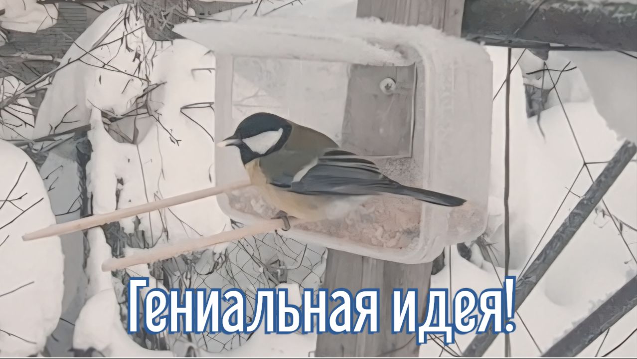 Почему я Раньше до этого не додумался, Как сделать Кормушку для птиц за 4 минуты!