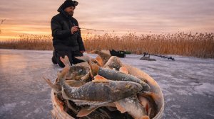 ТУТ ОКУНЯ ТЬМА! ЛОВИТСЯ НА ВСЁ! Просто сумасшедший клёв! Любые балансиры и мормышки! Астрахань.