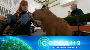 «Сегодня в Санкт-Петербурге»: 6 февраля 2026 года