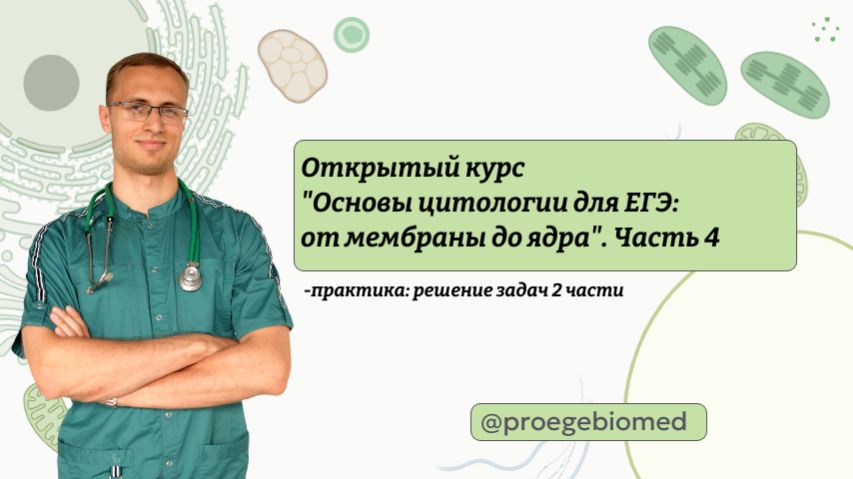 ПРАКТИКА ПО ЗАДАНИЯМ 2 ЧАСТИ | КУРС «ОСНОВЫ ЦИТОЛОГИИ ДЛЯ ЕГЭ: ОТ МЕМБРАНЫ ДО ЯДРА» (ЧАСТЬ 4) ПРАКТИКА ПО ЗАДАНИЯМ 2 ЧАСТИ | КУРС «ОСНОВЫ ЦИТОЛОГИИ ДЛЯ ЕГЭ: ОТ МЕМБРАНЫ ДО ЯДРА» (ЧАСТЬ 4)