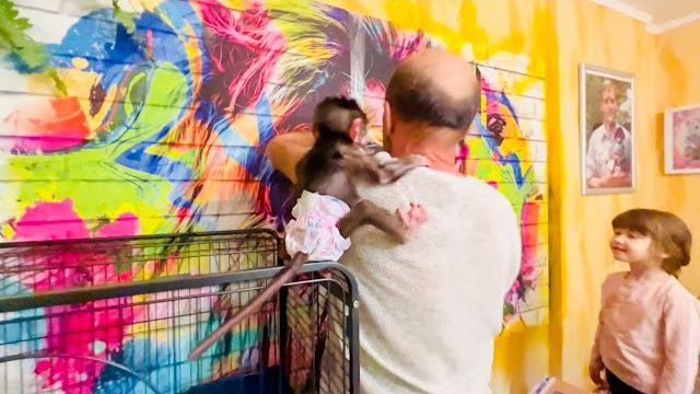 Степашка РИНУЛСЯ помогать папе Владу клеить новую картину на стену!