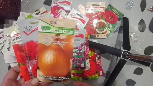 Посевы февраля🌹