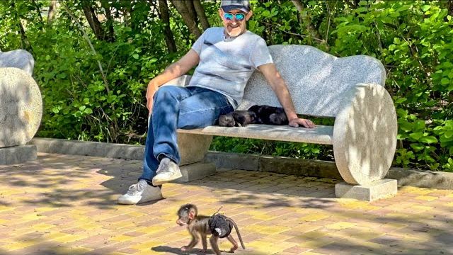 Степашка отправляется в свое ПЕРВОЕ САМОСТОЯТЕЛЬНОЕ путешествие по парку, оставив Влада  с волчатами