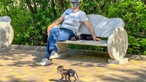 Степашка отправляется в свое ПЕРВОЕ САМОСТОЯТЕЛЬНОЕ путешествие по парку, оставив Влада  с волчатами