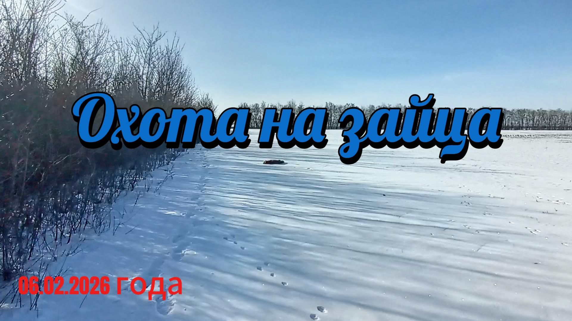 Охота на зайца. смотреть онлайн