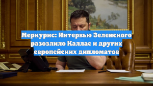 Меркурис: Интервью Зеленского разозлило Каллас и других европейских дипломатов