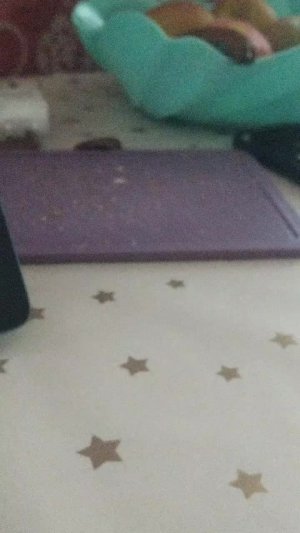 играю с пдп