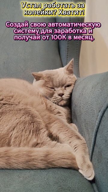 Мой секрет дохода 100К+ при работе 2 часа в неделю